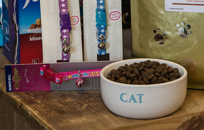 Cat Food, Treats & Accessories