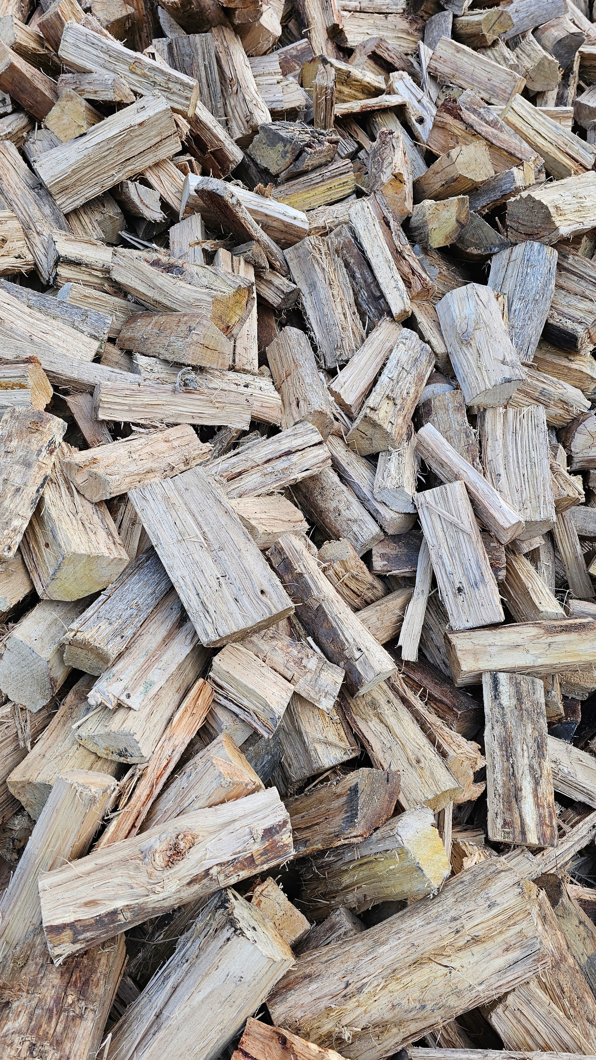 Blue Gum Firewood