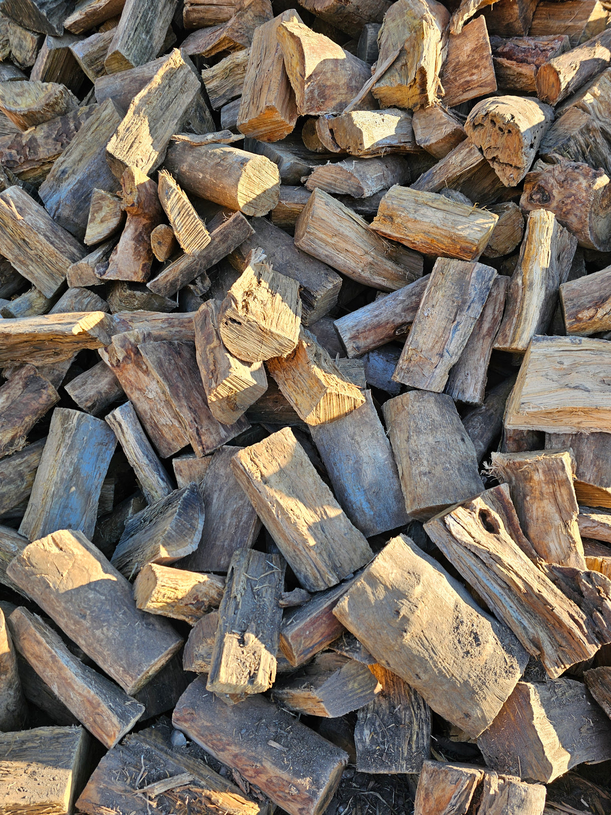 Sugargum Firewood