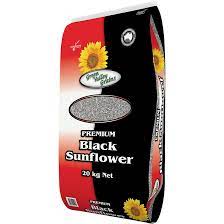 Black Sunflower 20kg