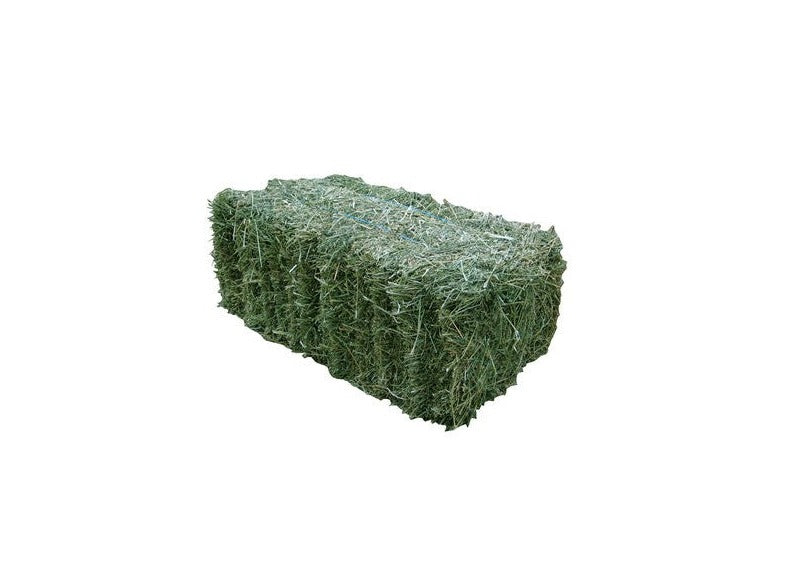 Lucerne Straw Hay Bale