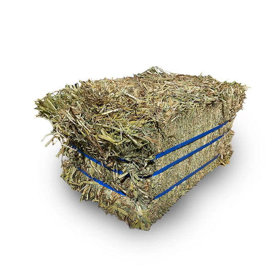 Oaten Compressed Prime Bale