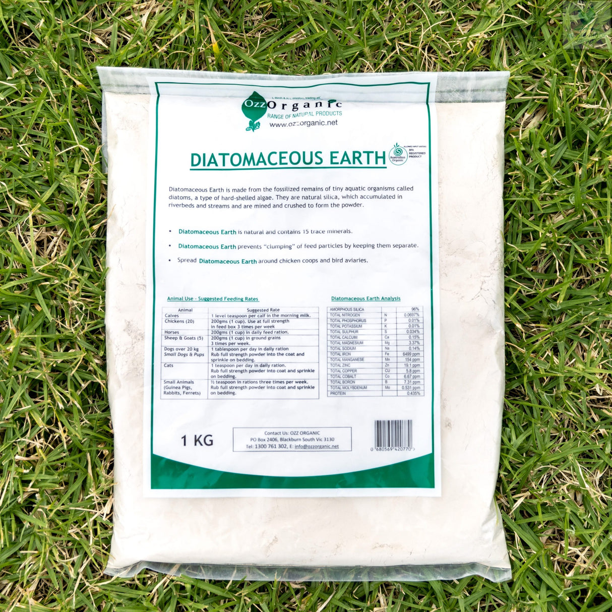 DIATOMACEOUS EARTH 1KG