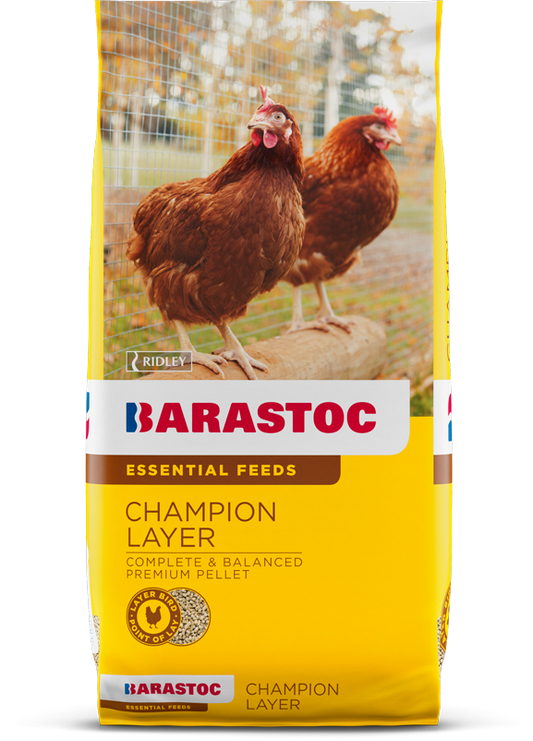 BARASTOC CHAMPION LAYER 20KG