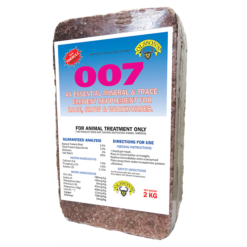 Olsson 007 Horse Mineral Block 2kg