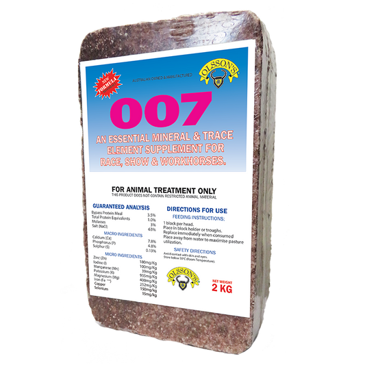 Olsson 007 Horse Mineral Block 2kg